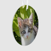 Aangepaste Tabby Kitten Foto Ornament (voorkant)