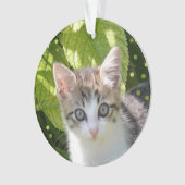 Aangepaste Tabby Kitten Foto Ornament (voorkant)