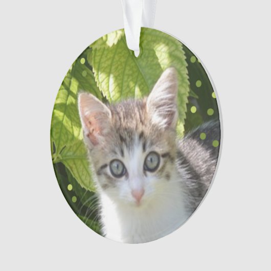 Aangepaste Tabby Kitten Foto Ornament (voorkant)