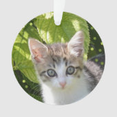 Aangepaste Tabby Kitten Foto Ornament (voorkant)