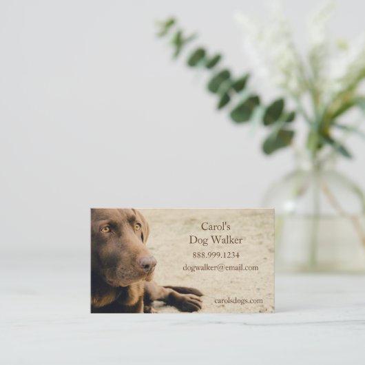 Aangepaste tandproever, Pet Sitting Business Servi Visitekaartje (Staand voorkant)