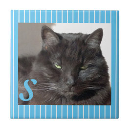 Aangepaste Tegel voor keramische katten Tegeltje