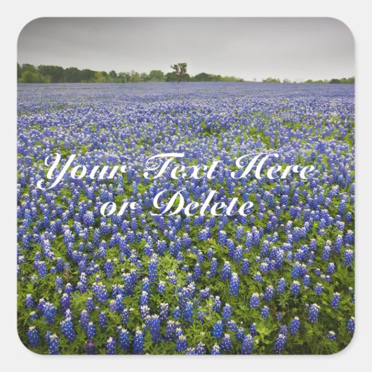 Aangepaste tekst Blauwe lente Bluebonnets Texas Fl Vierkante Sticker (Voorkant)