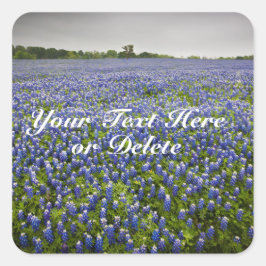 Aangepaste tekst Blauwe lente Bluebonnets Texas Fl Vierkante Sticker
