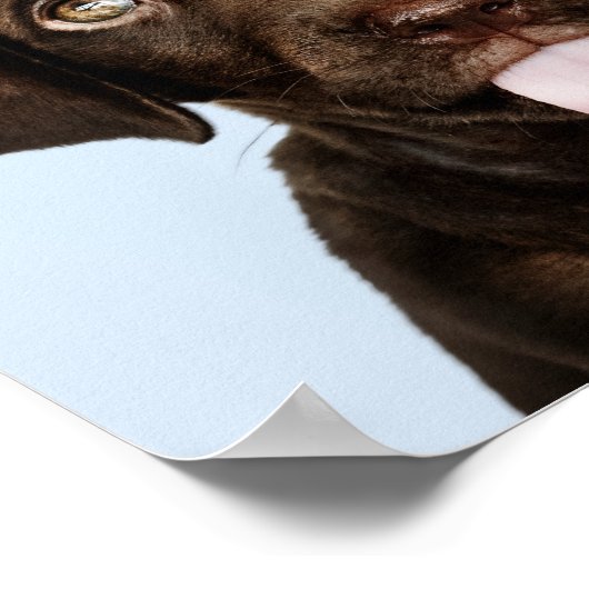 Aangepaste tekst Cute Puppies Poster (Hoek)