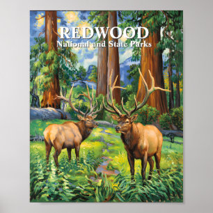 Aangepaste tekst eland Redwood Californië bos Van Poster