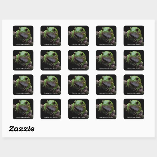 Aangepaste tekst Frog Square Sticker (Vel)