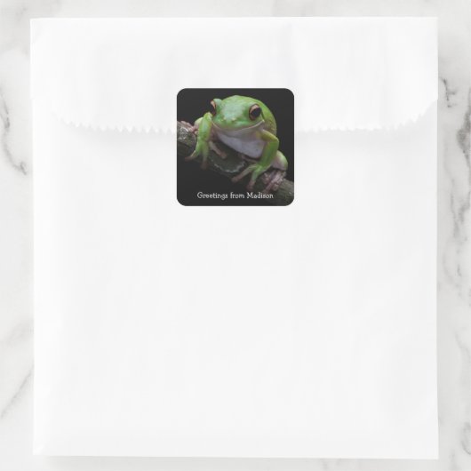 Aangepaste tekst Frog Square Sticker (Tas)