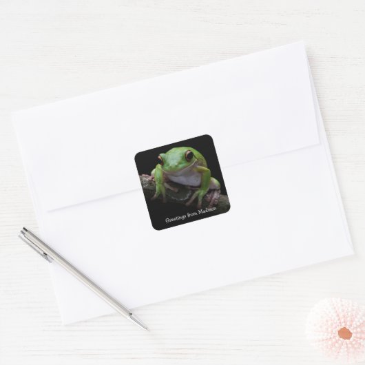 Aangepaste tekst Frog Square Sticker (Envelop)