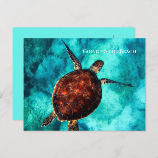 Aangepaste tekst Grote Zeeen schildpad Tropische b Briefkaart (Voorkant / Achterkant)