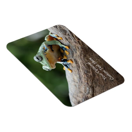 Aangepaste tekst kikker magneet (Rechterzijde)