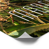 Aangepaste tekst Madeira Portugal Poster (Hoek)