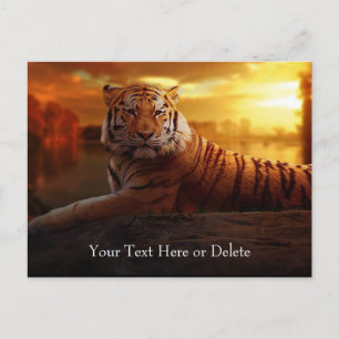 Aangepaste tekst Prachtige Oranje Wilde Tiger Gold Briefkaart