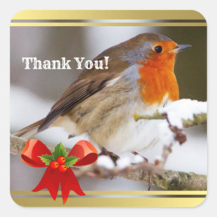 Aangepaste tekst schattige robin dank u vierkante sticker