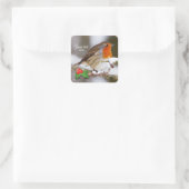 Aangepaste tekst Schattige Robin in Snow Vierkante Sticker (Tas)