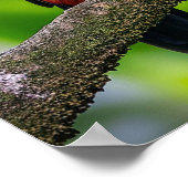 Aangepaste tekst Tropische Toucans Poster (Hoek)