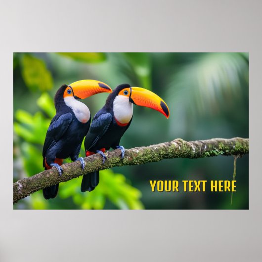 Aangepaste tekst Tropische Toucans Poster (Voorkant)