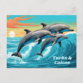 Aangepaste Tekst Turks- en Caicoseilanden Dolfijn Briefkaart (Voorkant)
