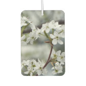 Aangepaste tekst voor lente-hondshout luchtverfrisser (Voorkant)