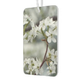 Aangepaste tekst voor lente-hondshout luchtverfrisser (Links)