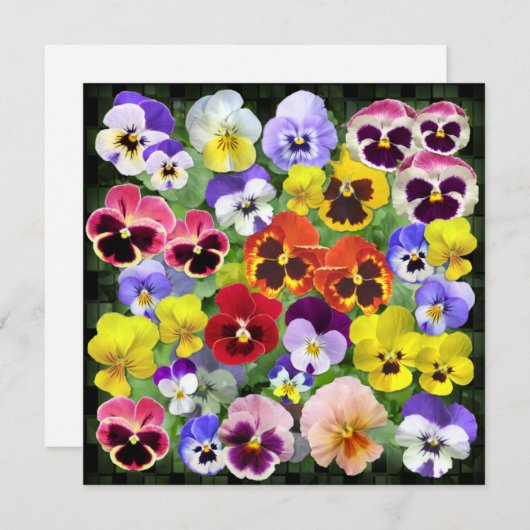 Aangepaste tekst voor  pansy Collage (Voorkant / Achterkant)