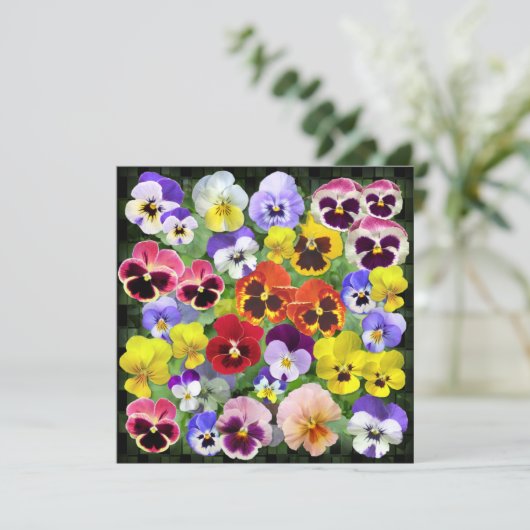 Aangepaste tekst voor  pansy Collage (Staand voorkant)