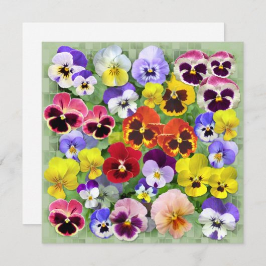 Aangepaste tekst voor  pansy Collage (Voorkant / Achterkant)