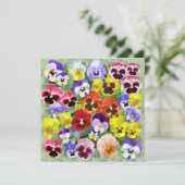 Aangepaste tekst voor  pansy Collage (Staand voorkant)