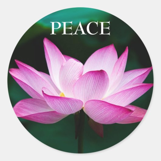 Aangepaste tekst Zen Pink Lotus Flower Peace Stick Ronde Sticker (Voorkant)