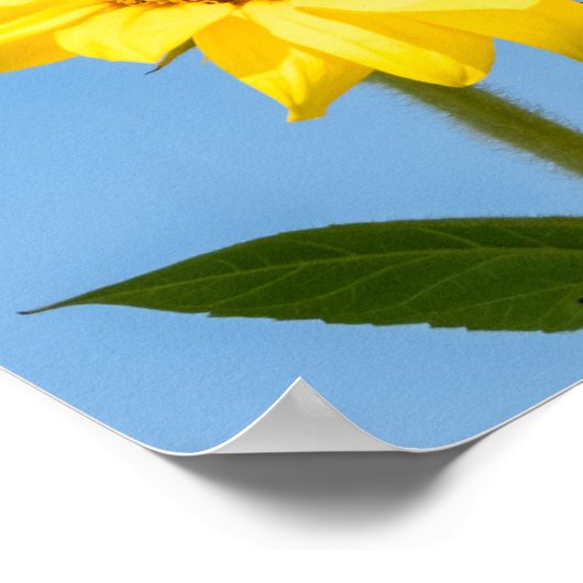 Aangepaste tekst Zonnebloem Poster (Hoek)