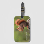 Aangepaste teksteekhoorn bagagelabel (Voorkant (verticaal))