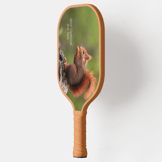 Aangepaste teksteekhoorn pickleball paddle (Links)