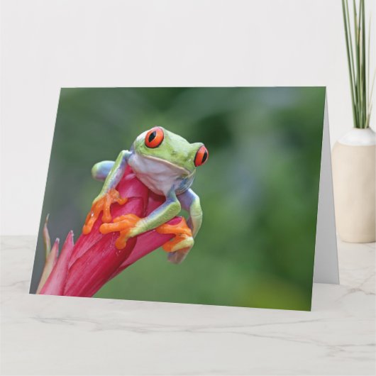 Aangepaste tekstekstkikker kaart (Voorkant)