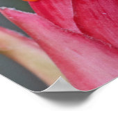 Aangepaste tekstekstkikker poster (Hoek)