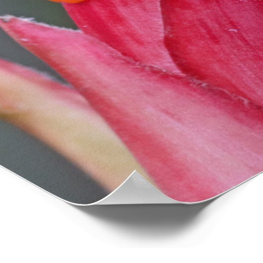 Aangepaste tekstekstkikker poster (Hoek)