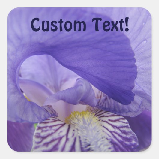 Aangepaste tekststickers Paarse Iris Bloemzegels Vierkante Sticker (Voorkant)