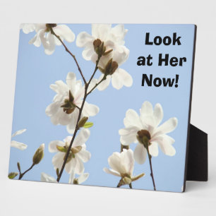 Aangepaste tellers Plaque Blue Magnolia Flowers Fotoplaat