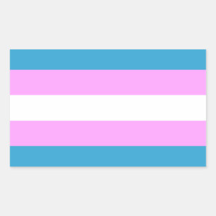 Aangepaste Trans-vlag Rechthoekige Sticker