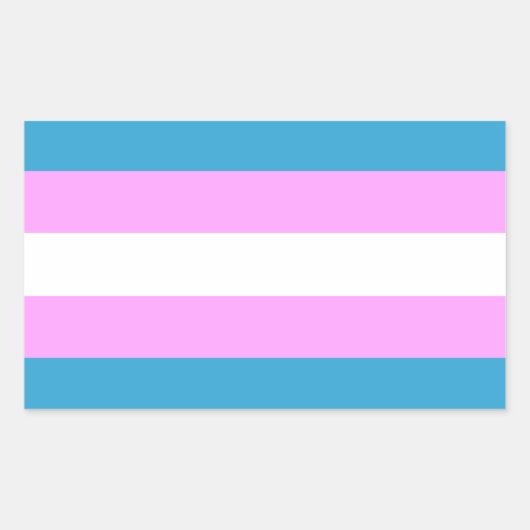 Aangepaste Trans-vlag Rechthoekige Sticker (Voorkant)
