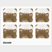 Aangepaste trommel AFICIONADO Puggy Cigar Vierkante Sticker (Vel)