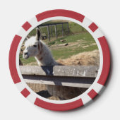 Aangepaste twee foto afbeelding afbeelding geperso poker chips (Achterkant)