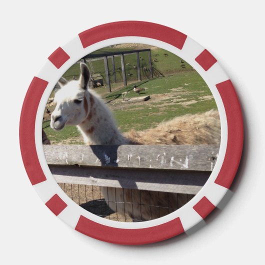 Aangepaste twee foto afbeelding afbeelding geperso poker chips (Achterkant)