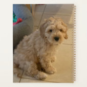 Aangepaste twee foto dubbelzijdig gepersonaliseerd planner (Achterkant)