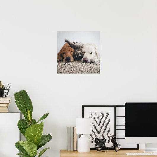 Aangepaste twee labs en een kat Poster (Thuiskantoor)