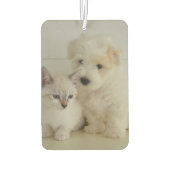 Aangepaste tweeledige fotoauto luchtverfrisser (Achterkant)