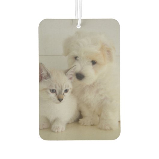 Aangepaste tweeledige fotoauto luchtverfrisser (Achterkant)