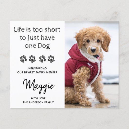 Aangepaste uitgave voor nieuwe foto's van het budg (Voorkant)