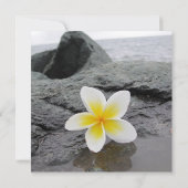 Aangepaste uitnodigingen voor feipani Beach Weddin (Achterkant)