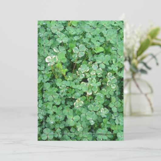 Aangepaste uitnodigingen voor groene witte shamroc (Staand voorkant)