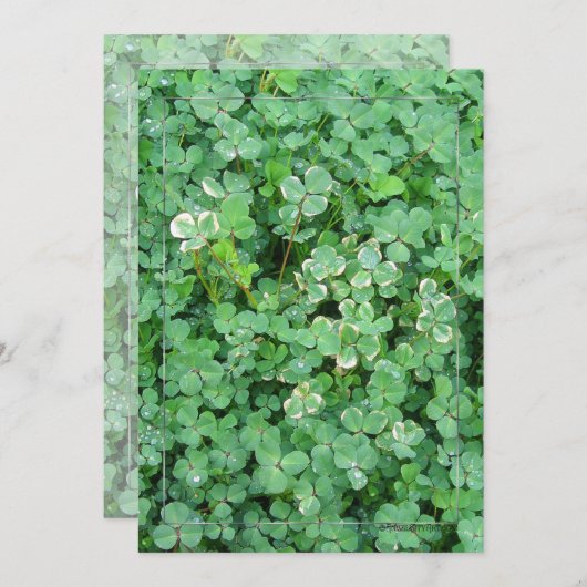 Aangepaste uitnodigingen voor groene witte shamroc (Voorkant / Achterkant)